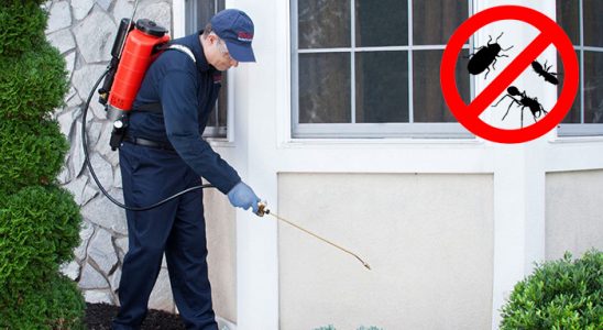 Çiğli Böcek İlaçlama böcek ilaçlama ve haşere kontrolü — ilaclama-tr.com